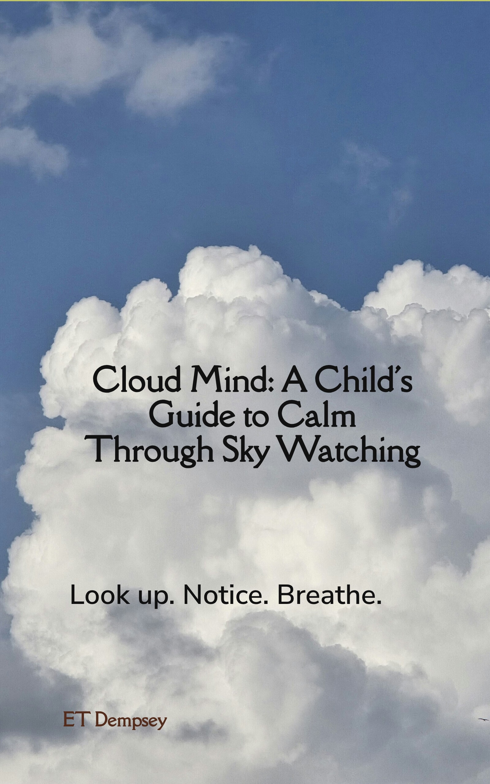 Cover of Cloud Mind: A Child's Guide to Calm Through Sky Watching